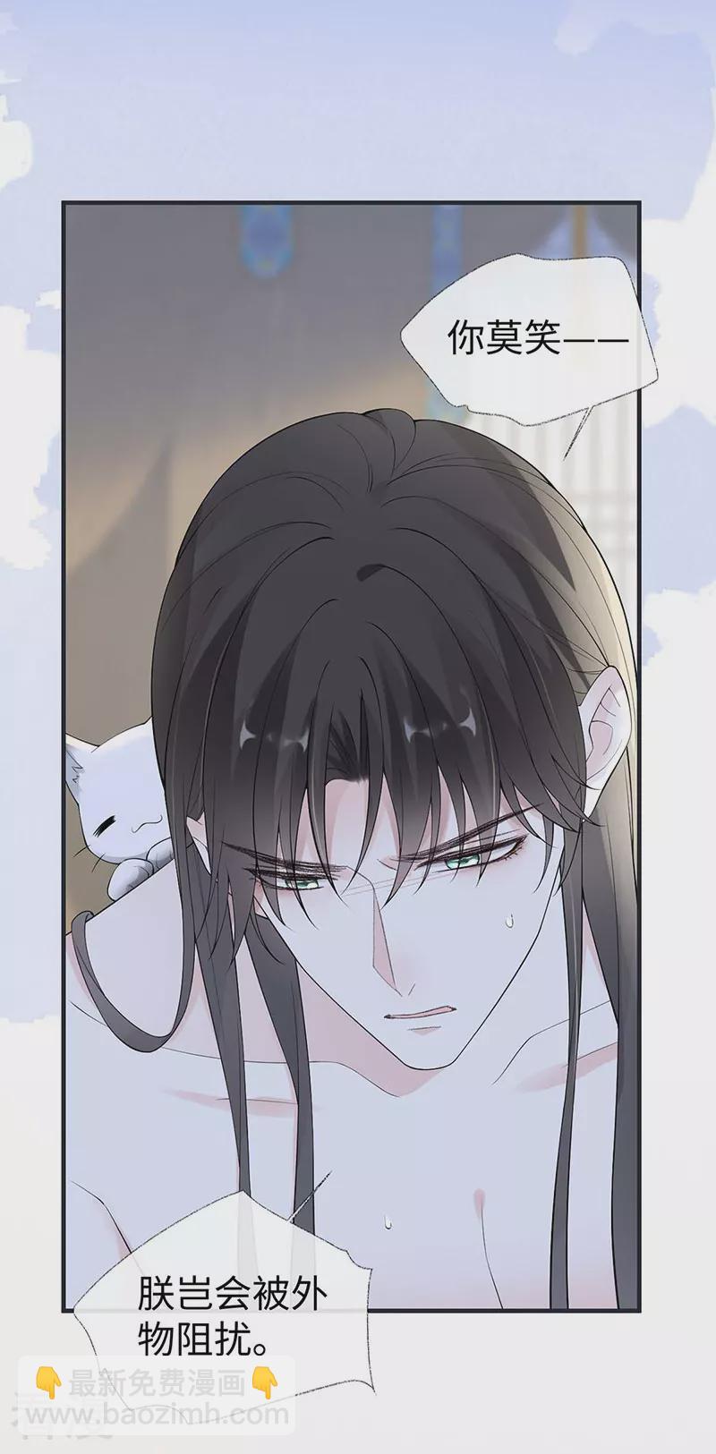 第179话 猫咪踩奶-第173话