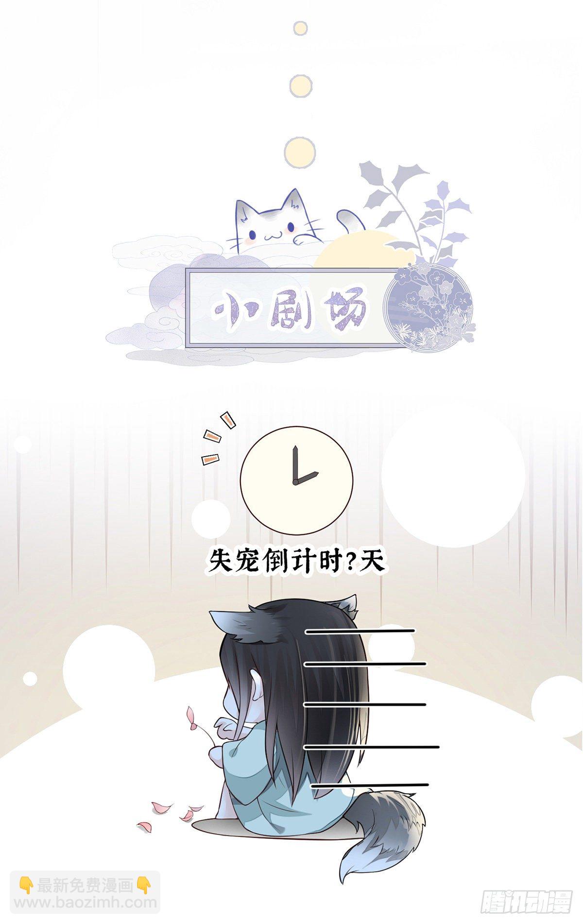 从没爱过-第41话