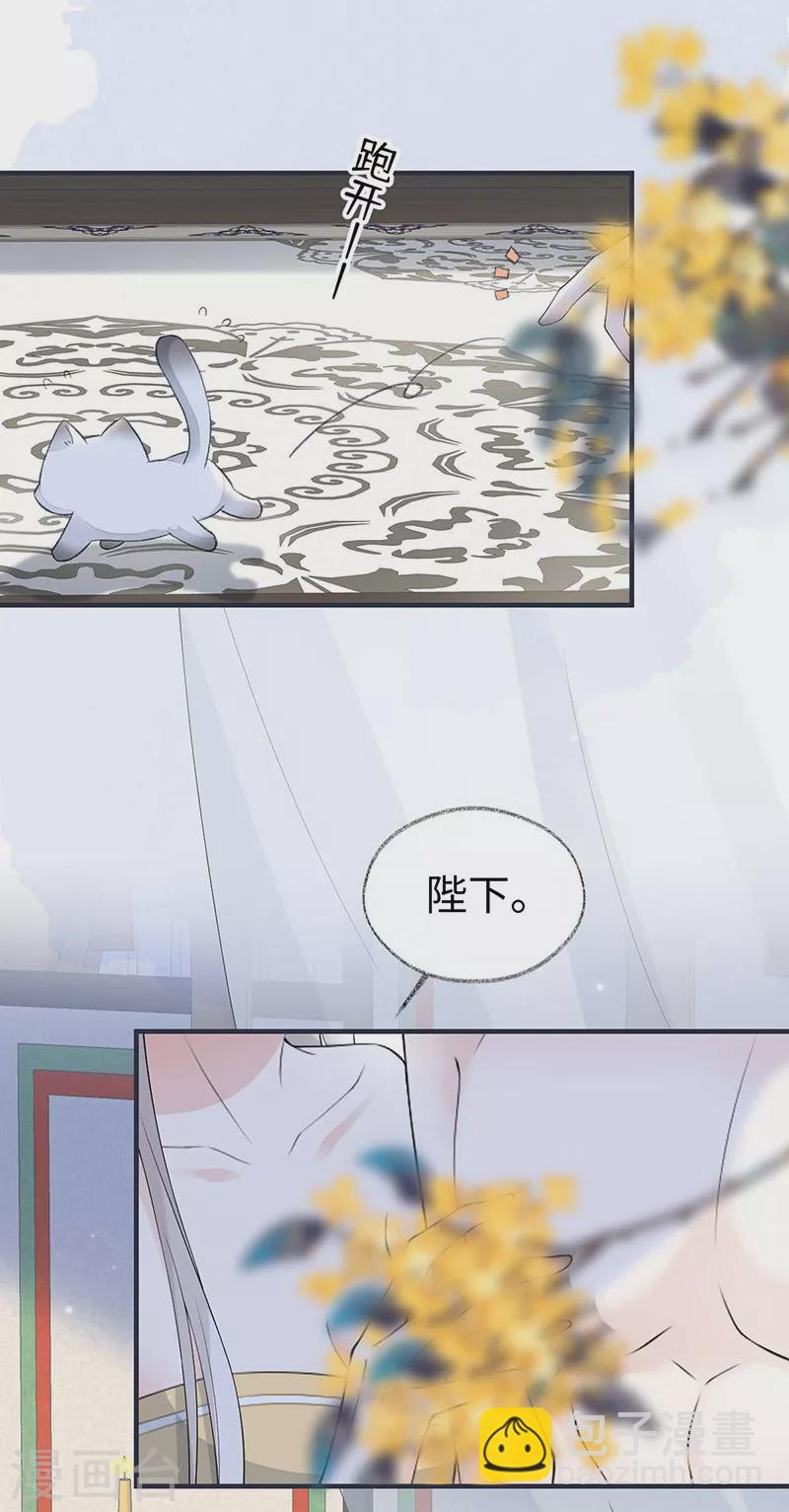 第179话 猫咪踩奶-第181话