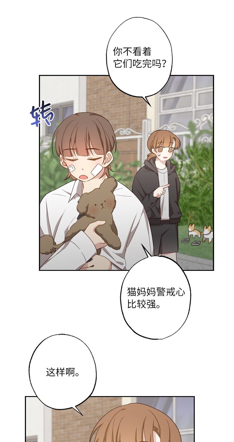 51 想要靠近一点(1/2)-第51话