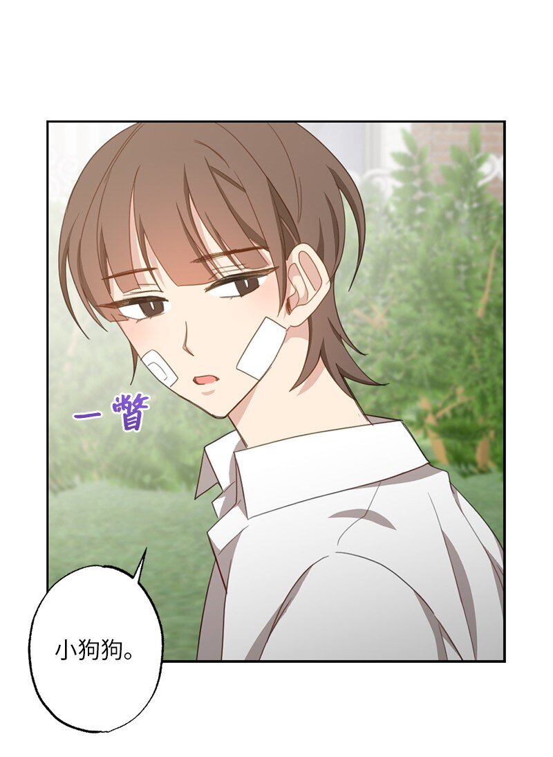 51 想要靠近一点(1/2)-第51话