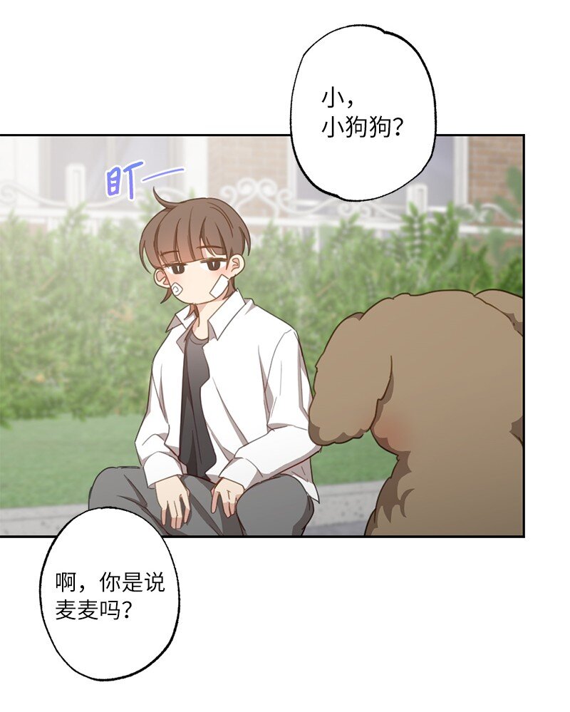 51 想要靠近一点(1/2)-第51话