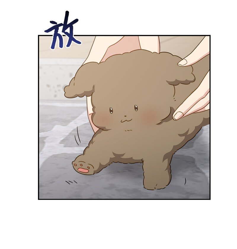 51 想要靠近一点(1/2)-第51话