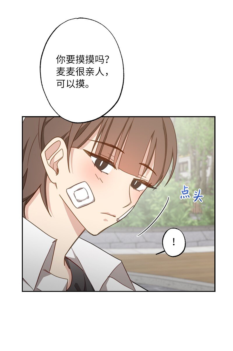 51 想要靠近一点(1/2)-第51话