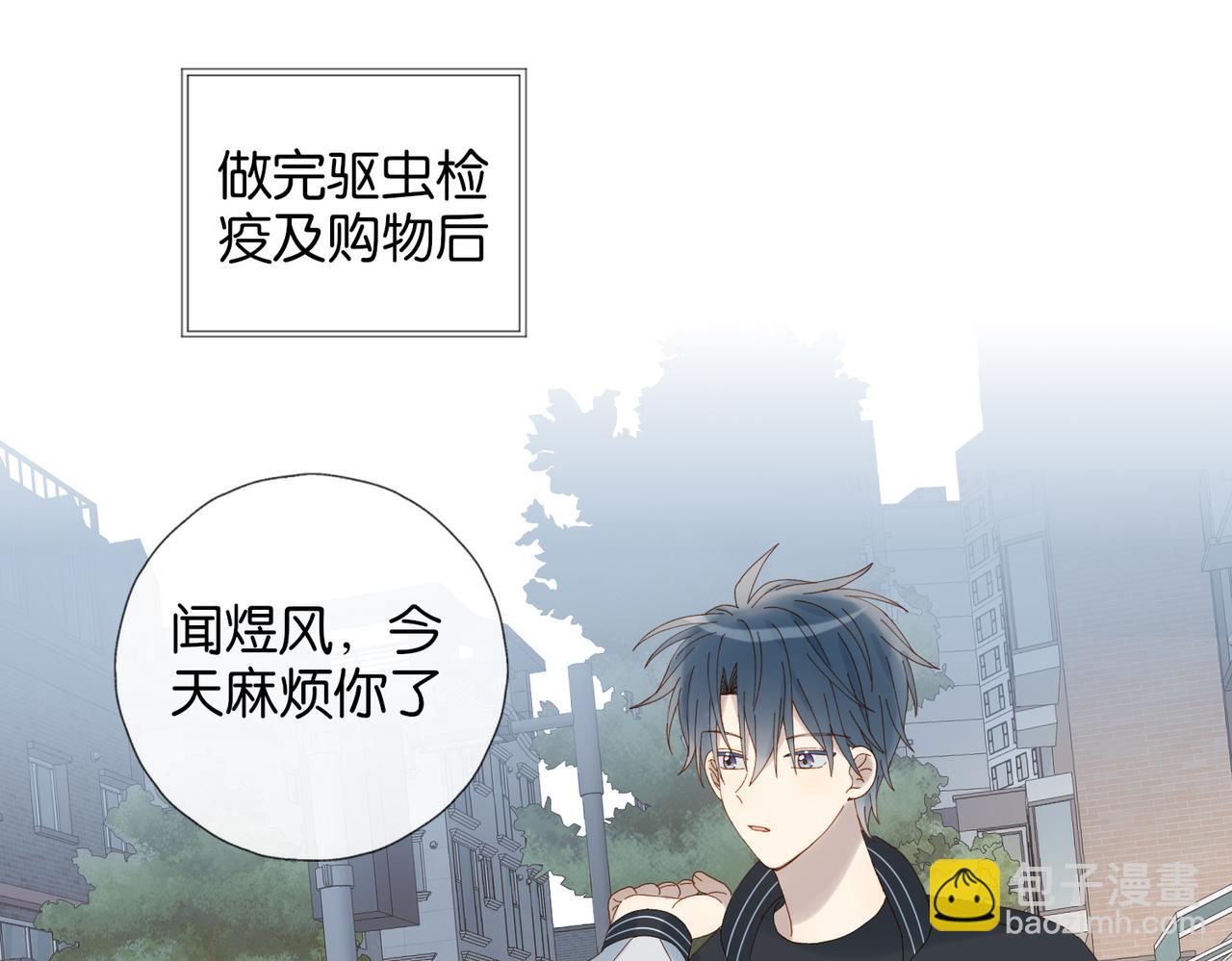第72话 不必遗憾(1/2)-第75话