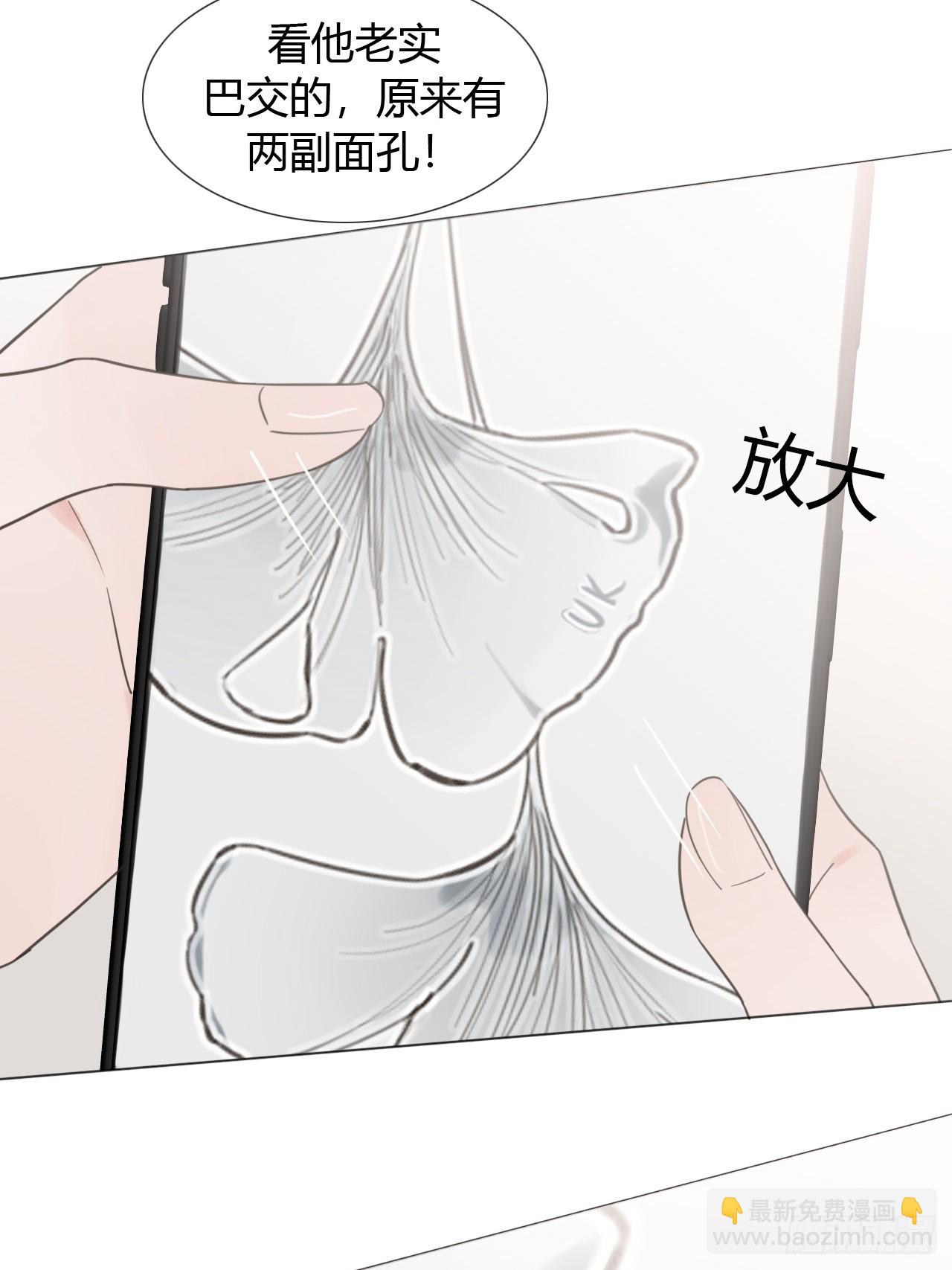 45 两幅面孔-第47话