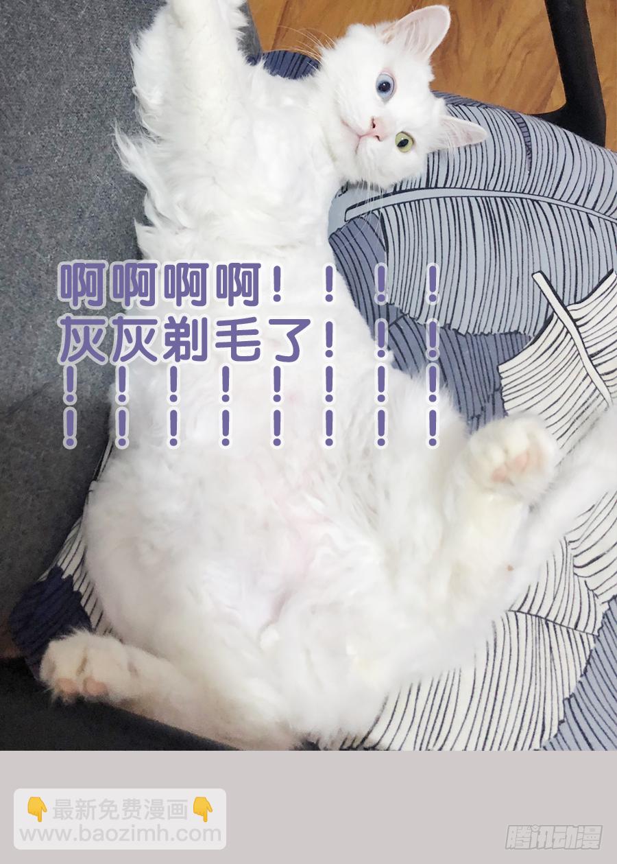 你是猪吗？不知道躲-第21话