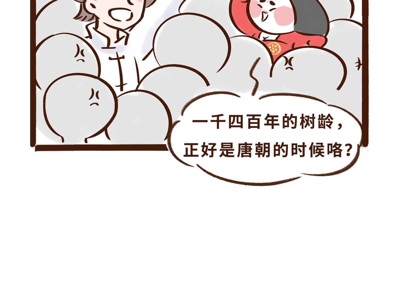 火遍外网的千年银杏树的故事(1/2)-第13话