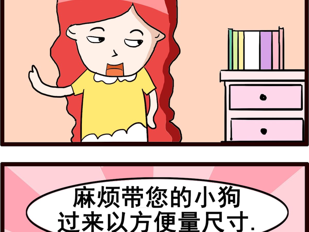 第049话 惊喜-第49话