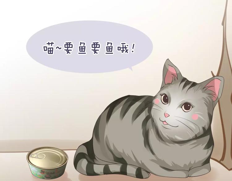 🍣淘宝原创漫画征集 菲斯娜Feisna【猫说鱼】 第29页