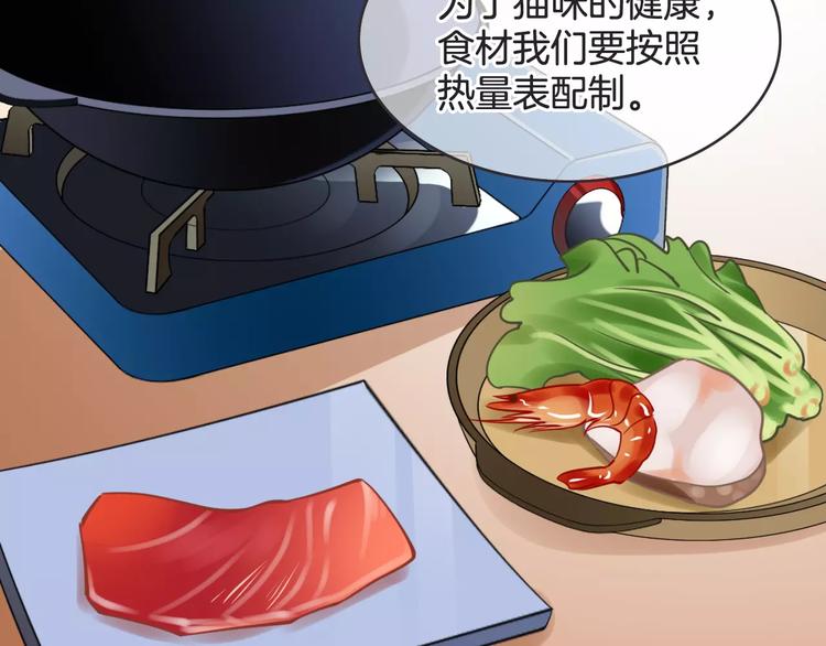 🍣淘宝原创漫画征集 菲斯娜Feisna【猫说鱼】 第3页