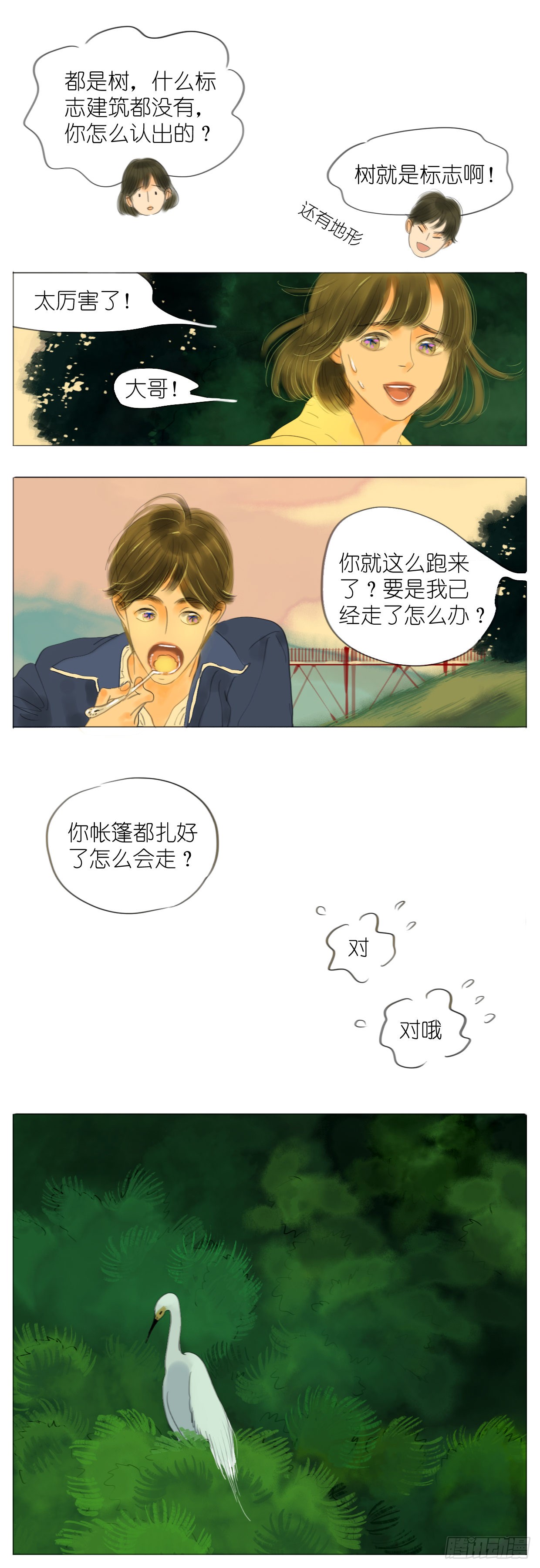 🍣桃花运是冒险 S1-12野营下 第3页