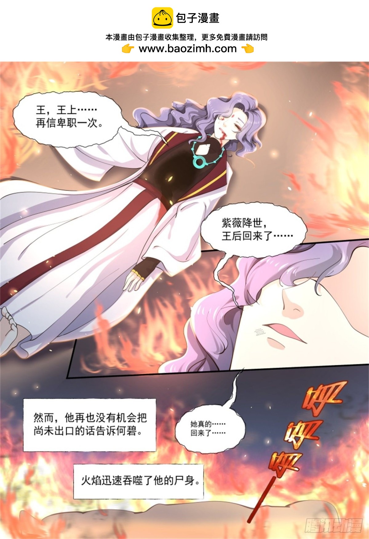 王妃巫珑&middot;六-第335话