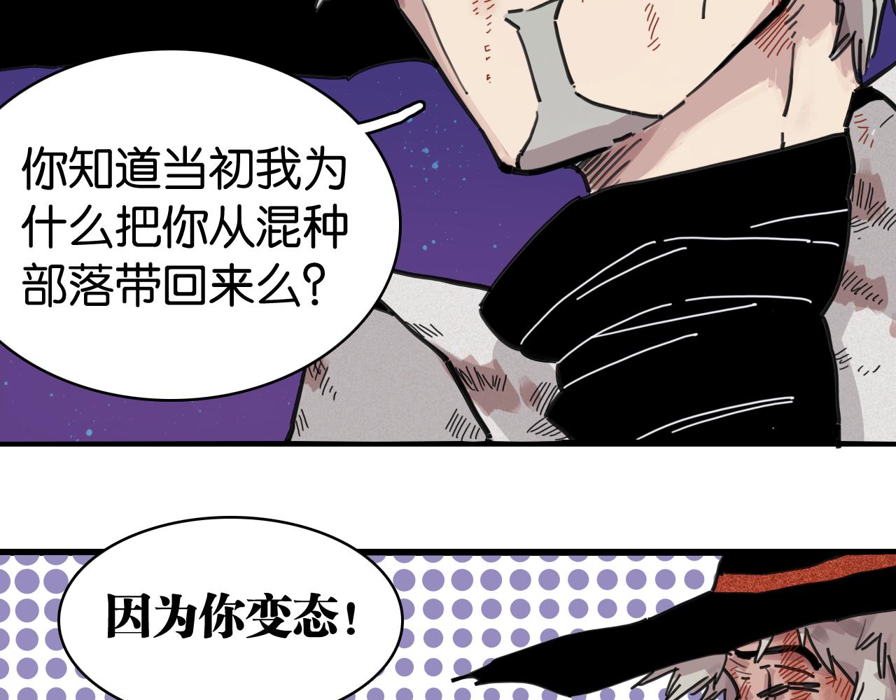 第206话 白木的奇迹(1/3)-第217话
