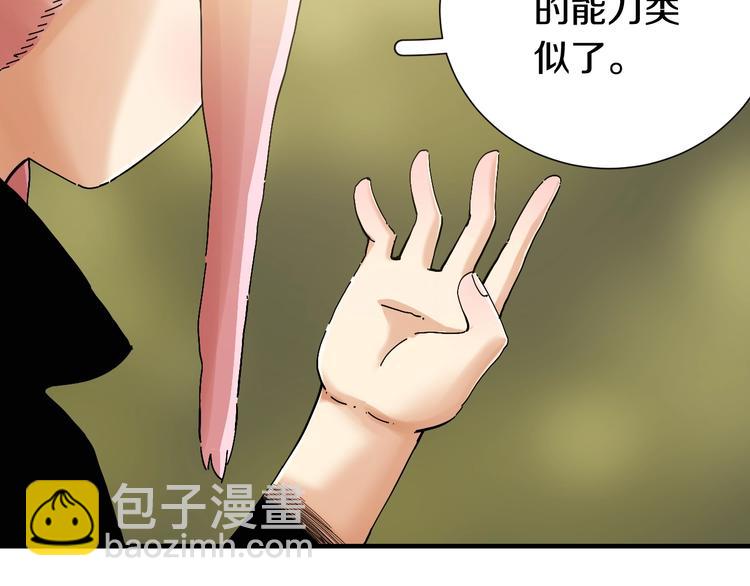 第41话 迷失裂谷！(1/2)-第43话