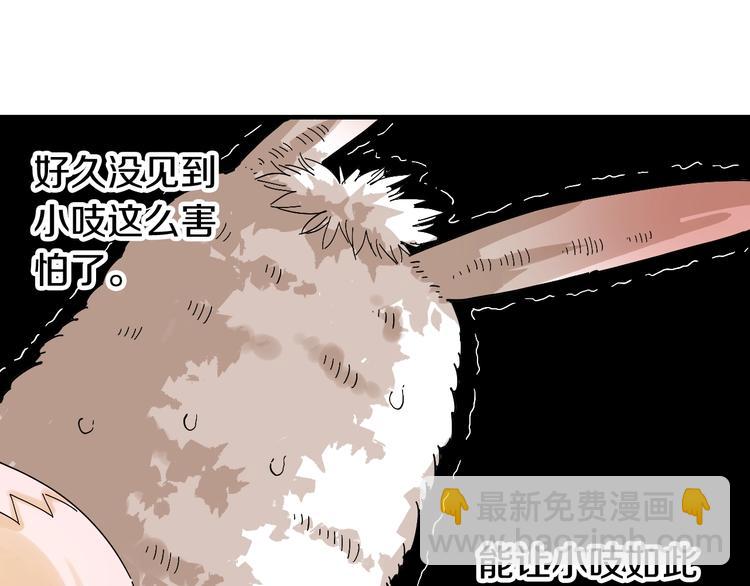 第41话 迷失裂谷！(1/2)-第43话