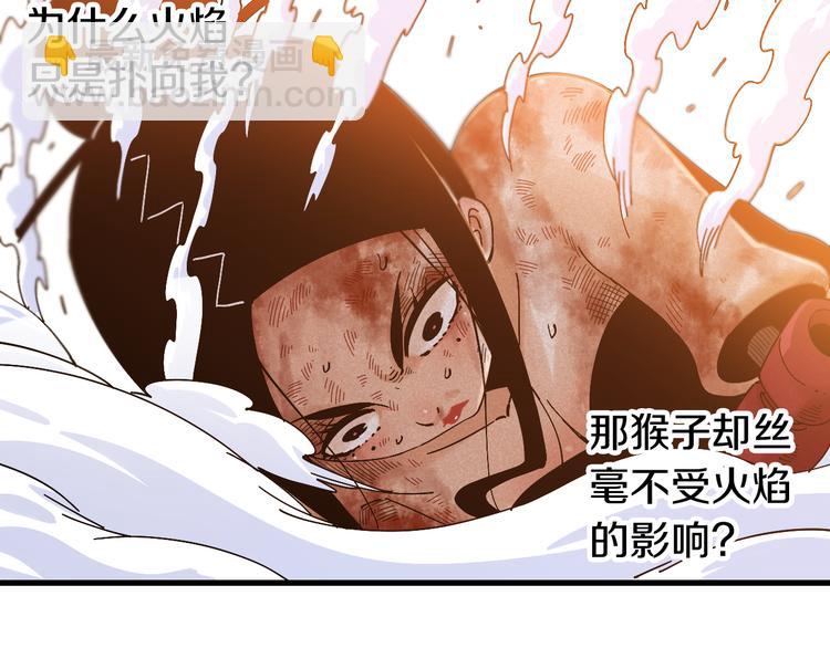 第62话 石猿VS黑腹罗(1/2)-第65话