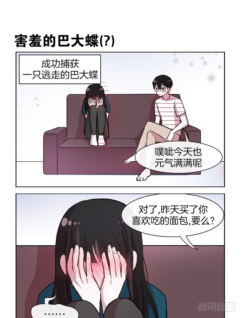小熊面包-第51话