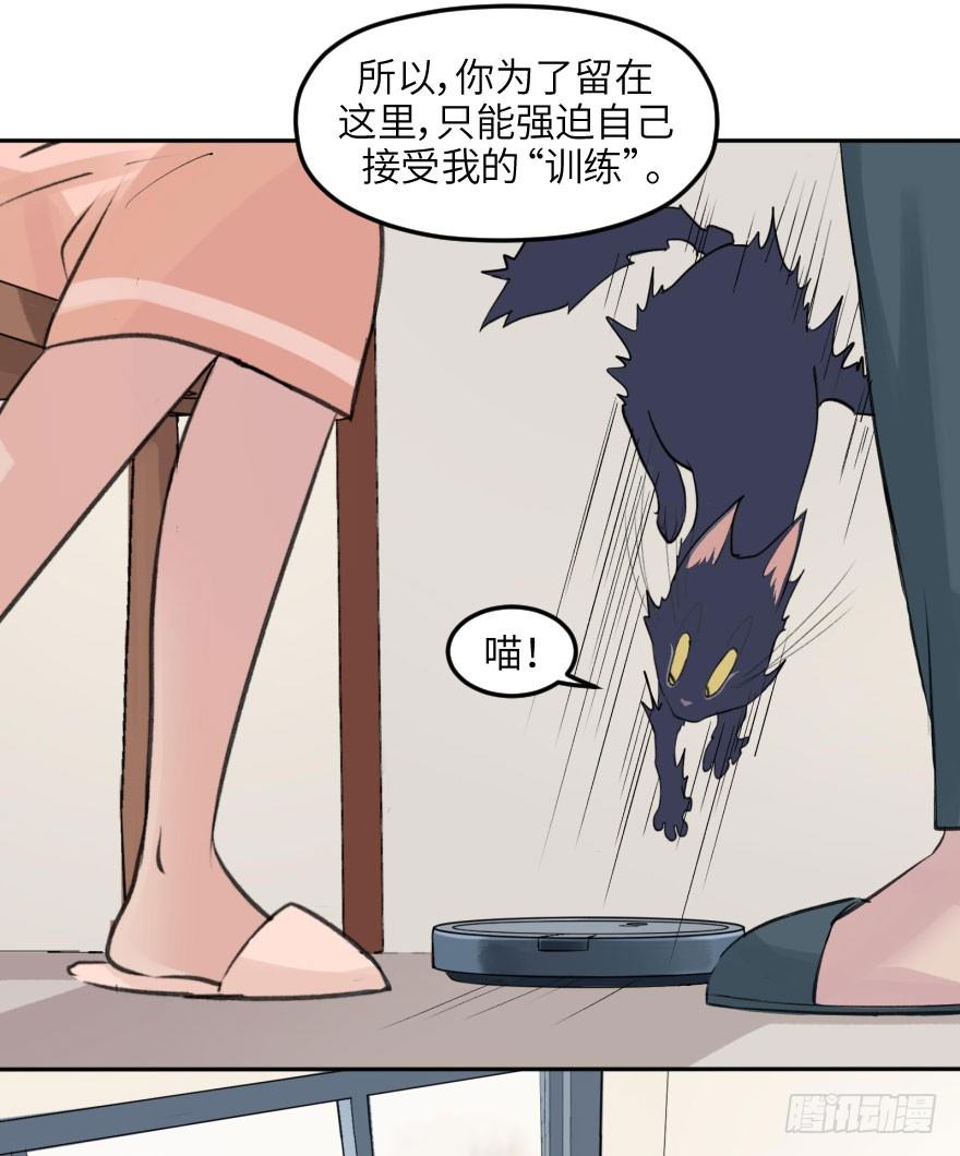 第十三话：等价交换(1/2)-第13话