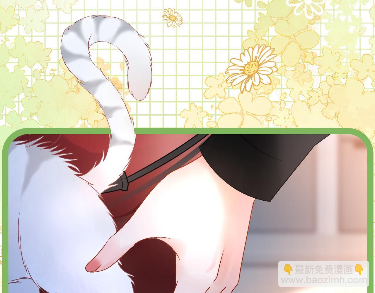 第20话 腹黑影帝训猫记(1/3)-第57话