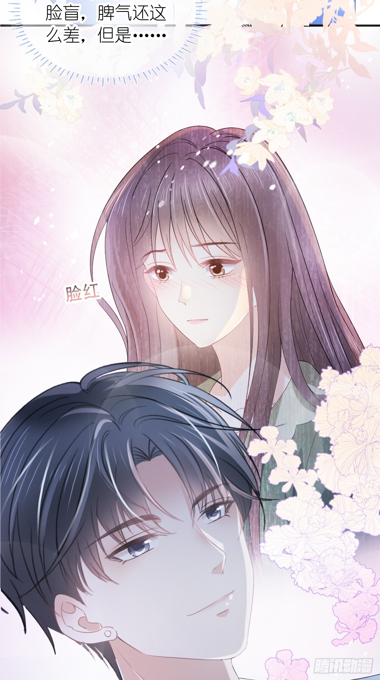 第三十话 我的野天鹅(1/2)-第37话