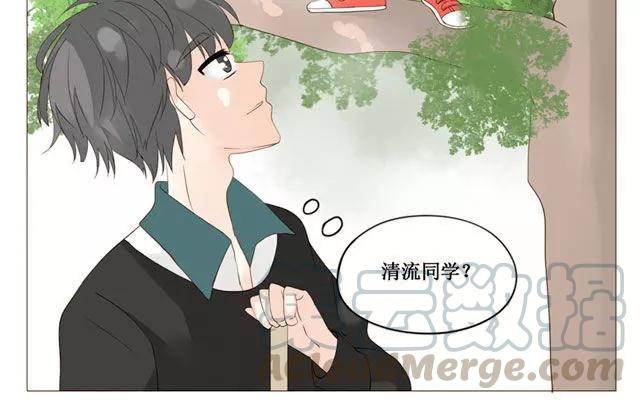 第40话 那个关于树叶的传说-第31话
