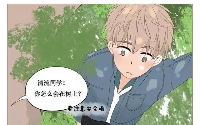 第40话 那个关于树叶的传说-第31话