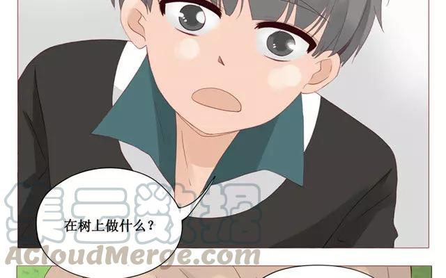 第40话 那个关于树叶的传说-第31话