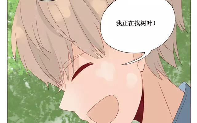 第40话 那个关于树叶的传说-第31话