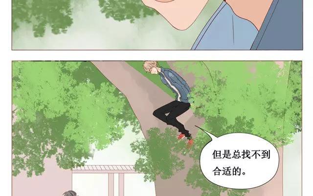 第40话 那个关于树叶的传说-第31话
