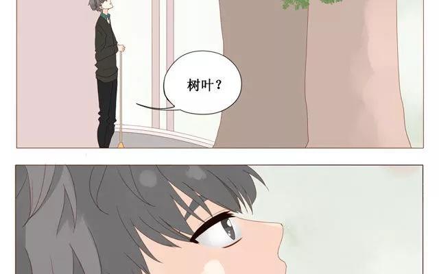 第40话 那个关于树叶的传说-第31话
