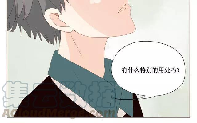 第40话 那个关于树叶的传说-第31话