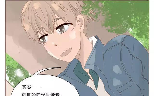第40话 那个关于树叶的传说-第31话