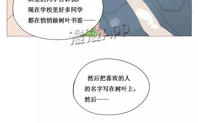 第40话 那个关于树叶的传说-第31话