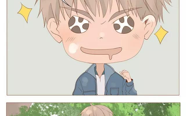 第40话 那个关于树叶的传说-第31话