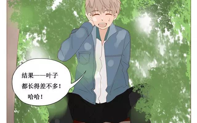 第40话 那个关于树叶的传说-第31话