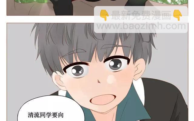 第40话 那个关于树叶的传说-第31话
