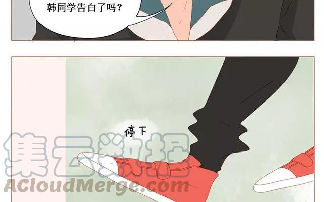 第40话 那个关于树叶的传说-第31话