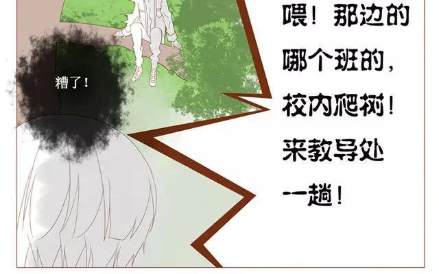 第40话 那个关于树叶的传说-第31话