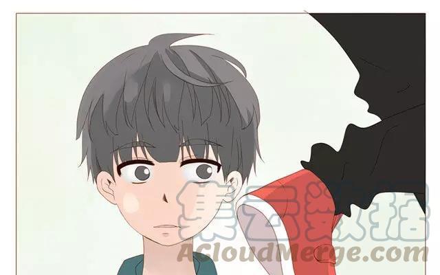 第40话 那个关于树叶的传说-第31话