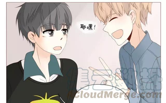 第40话 那个关于树叶的传说-第31话
