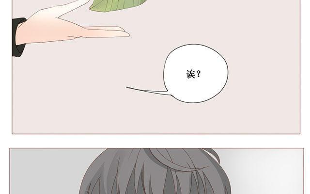 第40话 那个关于树叶的传说-第31话