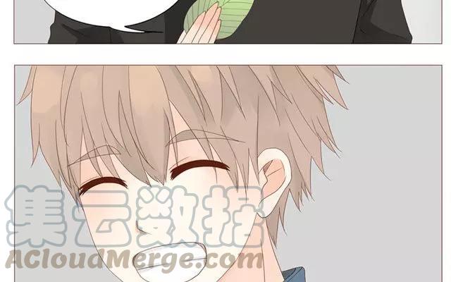 第40话 那个关于树叶的传说-第31话