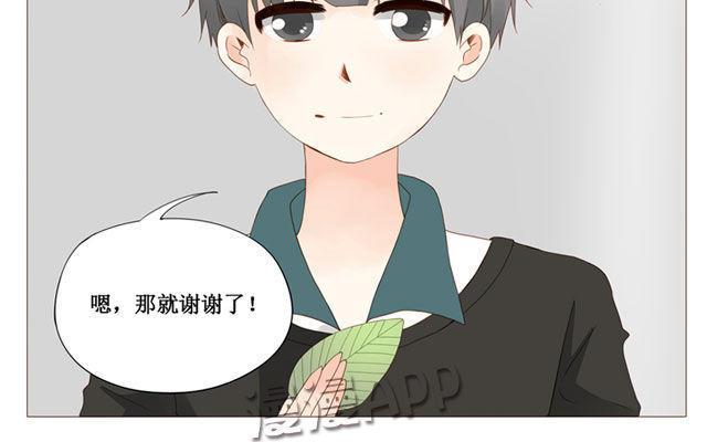 第40话 那个关于树叶的传说-第31话