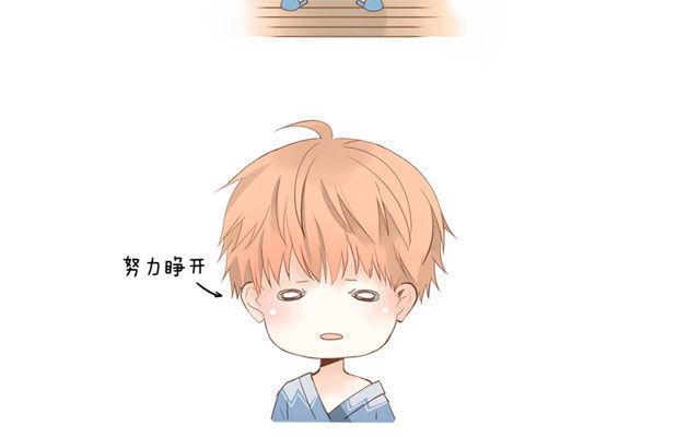 第40话 那个关于树叶的传说-第31话