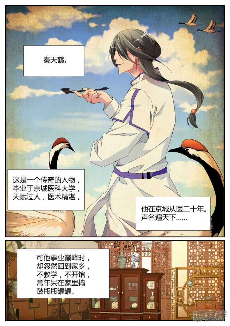 🍣天才高手 鹤神医 第2页