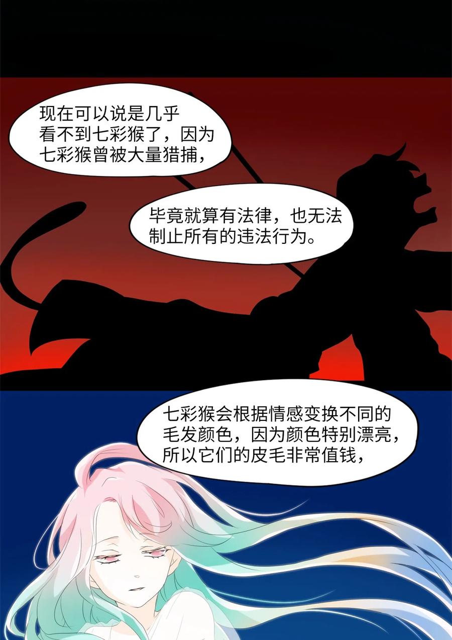 108 雾中彩虹（七）-第109话