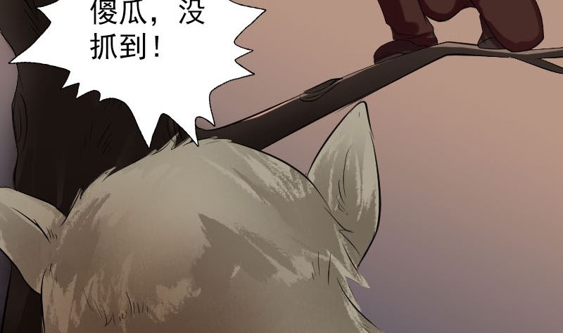 🍣天降横祸 第156话 智斗大马猴 第47页