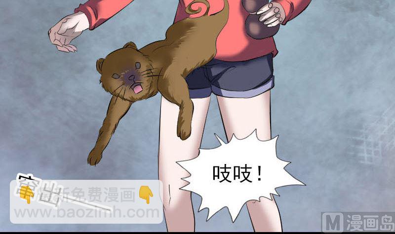 🍣天降横祸 第270话 闹黄仙 第30页