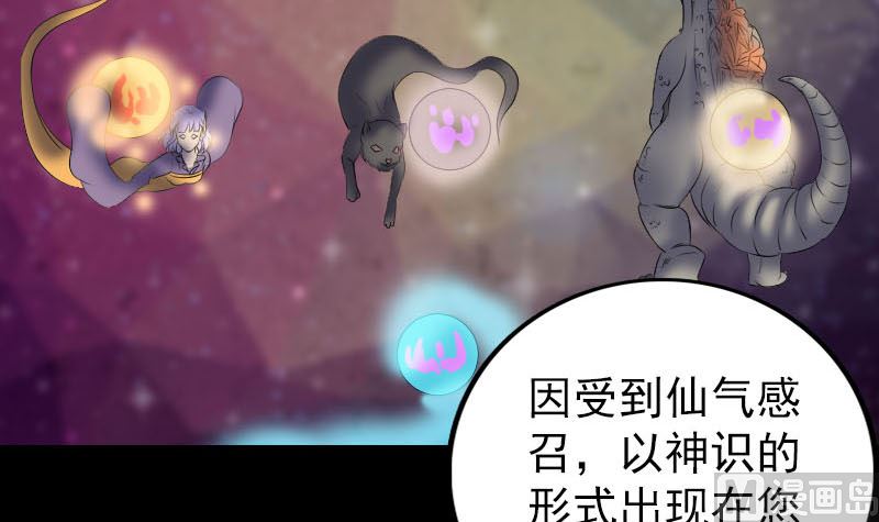🍣天降横祸 第302话 再回酆都 第15页